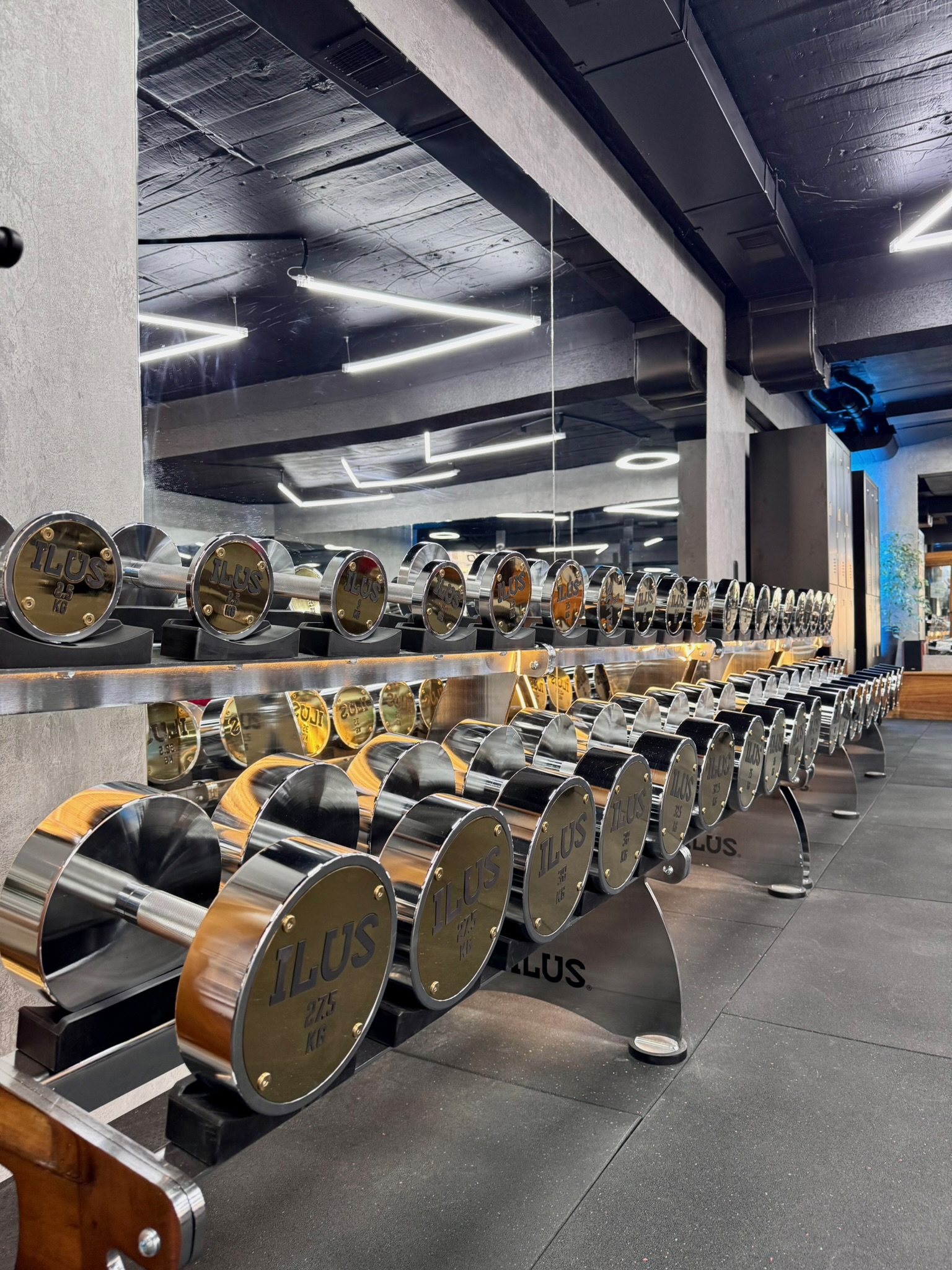 Rack de mancuernas ILUS